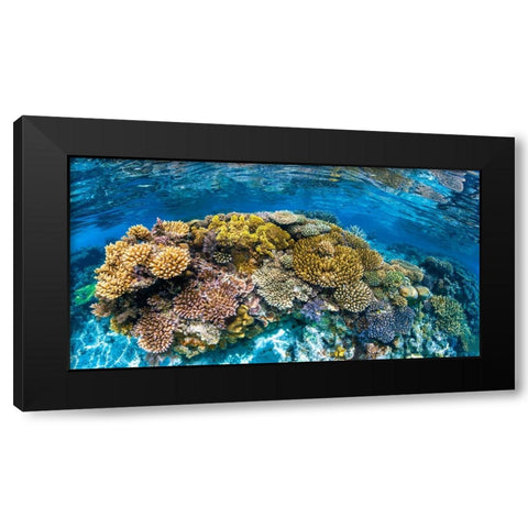 Panoreef Black Modern Wood Framed Art Print with Double Matting by Gabriel, Barathieu