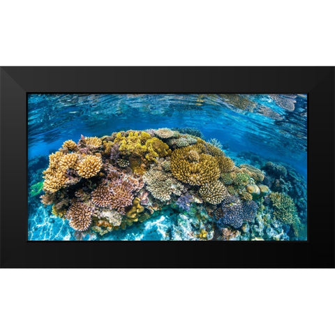 Panoreef Black Modern Wood Framed Art Print by Gabriel, Barathieu