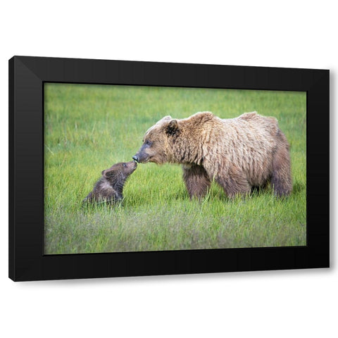 Not Seeing Eye To Eye.... Black Modern Wood Framed Art Print with Double Matting by C. Sink, Jeffrey