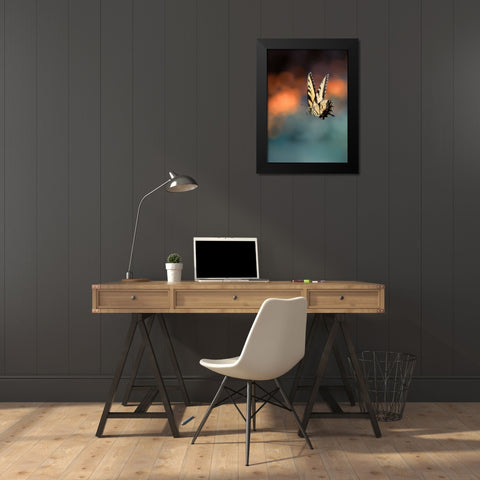 Flying Butterfly Black Modern Wood Framed Art Print by Shen, Yanyu