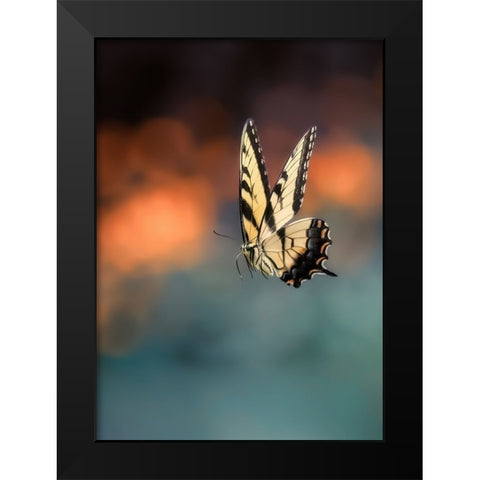 Flying Butterfly Black Modern Wood Framed Art Print by Shen, Yanyu