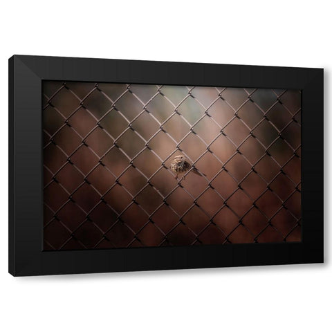 Besieged Black Modern Wood Framed Art Print with Double Matting by Zhang, Ling