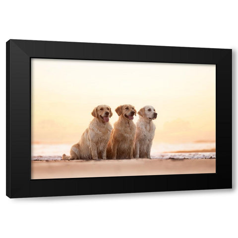 Golden Hour Black Modern Wood Framed Art Print by Eeckloo, Valerie