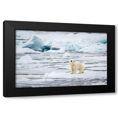 The Hunt - What Can I Smell? Black Modern Wood Framed Art Print by Lewis-Bevan, Wyn