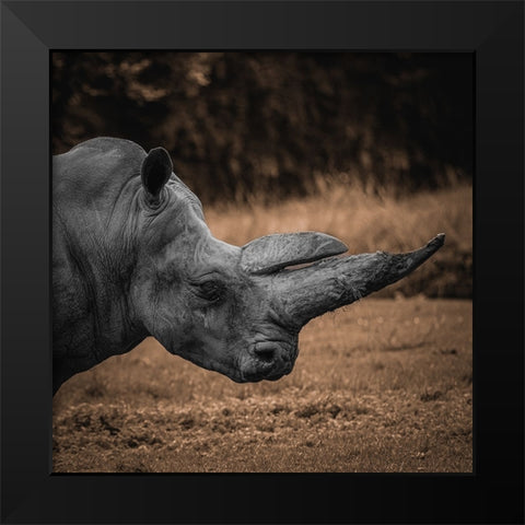 Rhinoceros Black Modern Wood Framed Art Print by Tsikiridis, Georgios