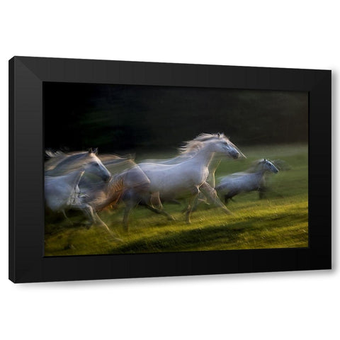 white dominance Black Modern Wood Framed Art Print with Double Matting by Malovrh, Milan