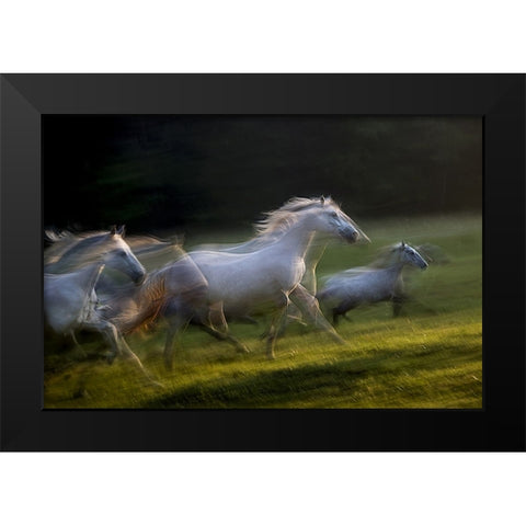 white dominance Black Modern Wood Framed Art Print by Malovrh, Milan