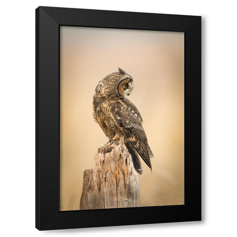 Sunrise Black Modern Wood Framed Art Print with Double Matting by Lu, Bill