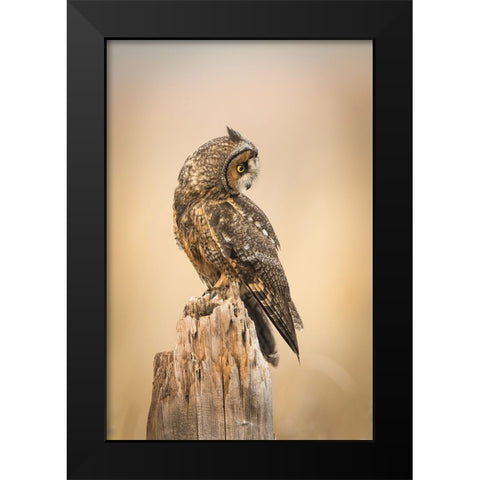 Sunrise Black Modern Wood Framed Art Print by Lu, Bill