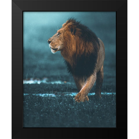 Confident Black Modern Wood Framed Art Print by Sobhi, Ahmed