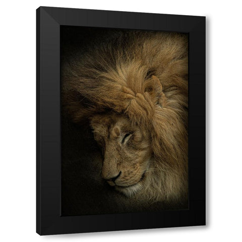 Healing Heart Black Modern Wood Framed Art Print with Double Matting by Nakatsuka, Takayuki