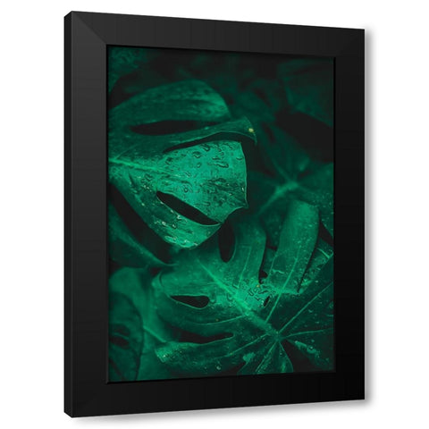 Green like life Black Modern Wood Framed Art Print by Hamedani, Ardalan