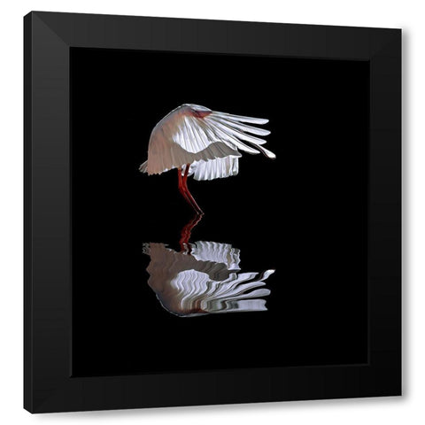 The Ave Black Modern Wood Framed Art Print by Luis Duran, Juan