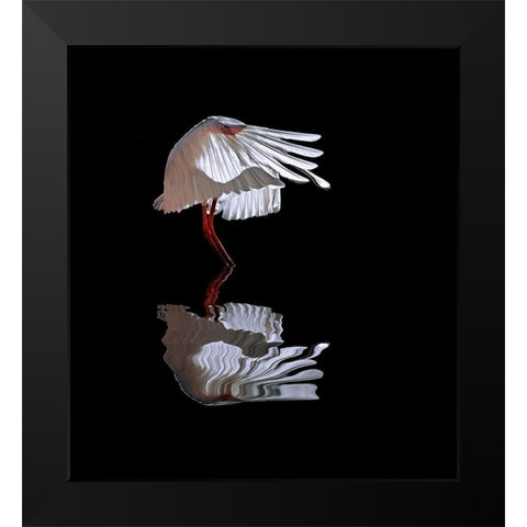 The Ave Black Modern Wood Framed Art Print by Luis Duran, Juan