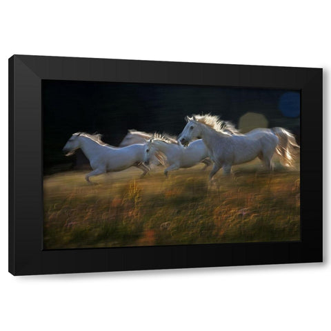 Pass Black Modern Wood Framed Art Print with Double Matting by Malovrh, Milan