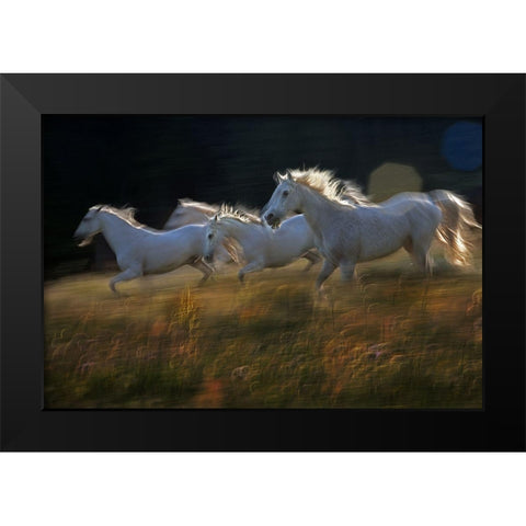 Pass Black Modern Wood Framed Art Print by Malovrh, Milan