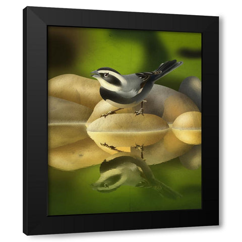 Monterita de collar Black Modern Wood Framed Art Print with Double Matting by Caballero, Franco