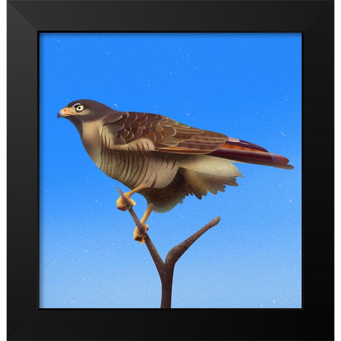 Hawk Black Modern Wood Framed Art Print by Caballero, Franco