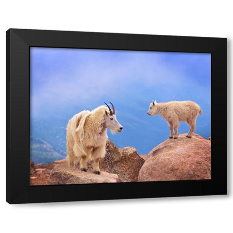 A Mothers Smile Black Modern Wood Framed Art Print by Scarbrough, David