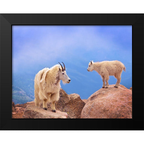 A Mothers Smile Black Modern Wood Framed Art Print by Scarbrough, David