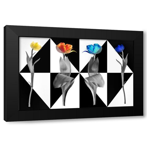 PopArt Tulips Black Modern Wood Framed Art Print by Ruckert, Stephan