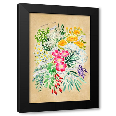 Medicinal herbs in vintage sepia Black Modern Wood Framed Art Print with Double Matting by Laiz Blursbyai, Rosana