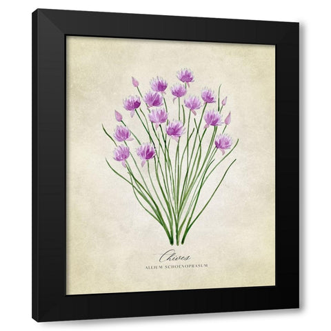 Chives vintage Black Modern Wood Framed Art Print by Laiz Blursbyai, Rosana