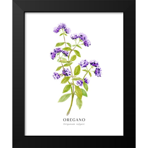 Oregano I Black Modern Wood Framed Art Print by Laiz Blursbyai, Rosana