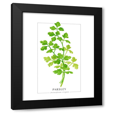 Parsley II Black Modern Wood Framed Art Print with Double Matting by Laiz Blursbyai, Rosana