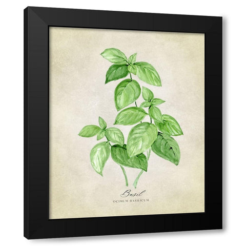 Basil vintage Black Modern Wood Framed Art Print by Laiz Blursbyai, Rosana