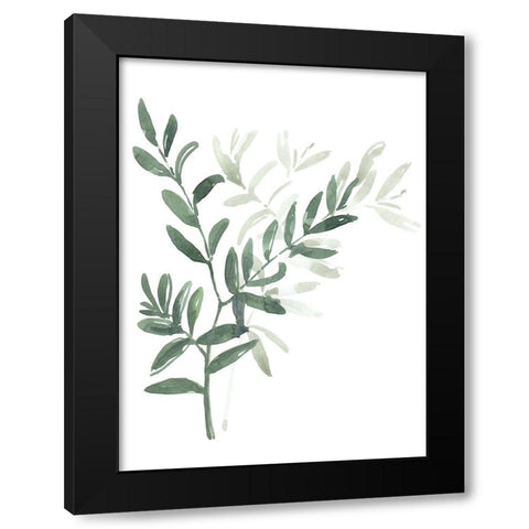 Watercolor laurel branch Black Modern Wood Framed Art Print with Double Matting by Laiz Blursbyai, Rosana