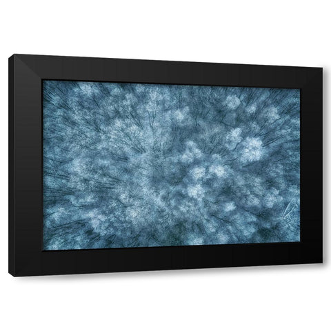 Winter Forest Black Modern Wood Framed Art Print with Double Matting by Krier, Guy