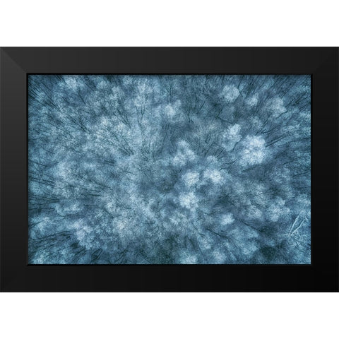 Winter Forest Black Modern Wood Framed Art Print by Krier, Guy