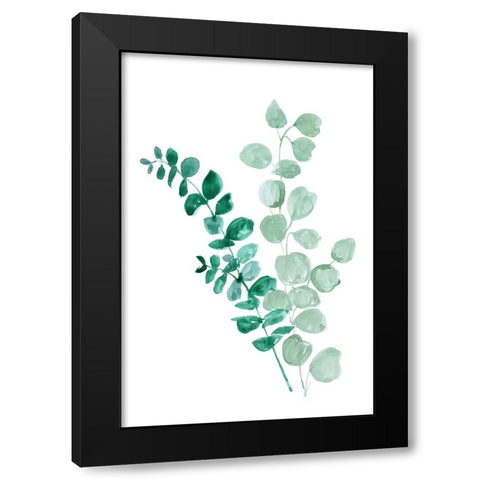 Two eucalyptus branches Black Modern Wood Framed Art Print with Double Matting by Laiz Blursbyai, Rosana