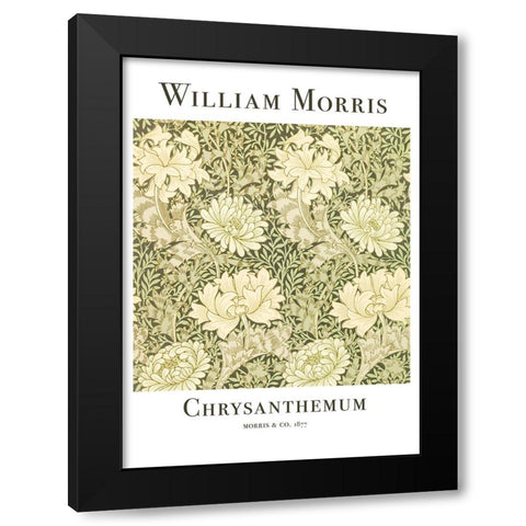 Chrysanthemum Black Modern Wood Framed Art Print with Double Matting by Pictufy
