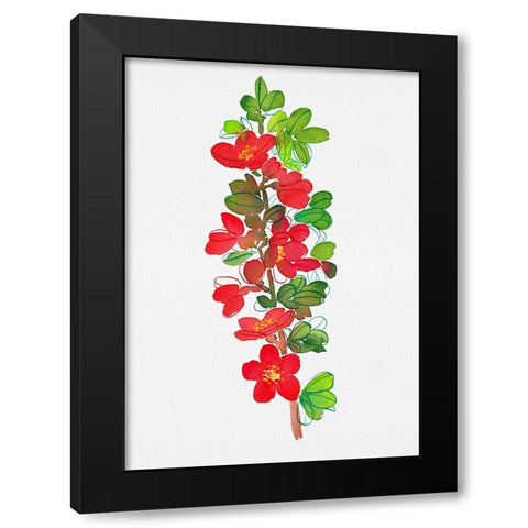 Japanese quince or Chaenomeles japonica botanical painting Black Modern Wood Framed Art Print by Kata Botanical