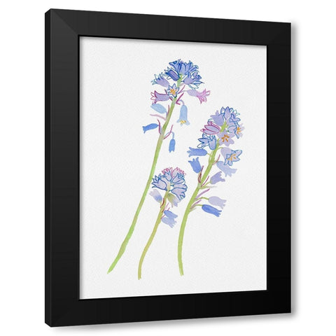 Spanish bluebell or Hyacinthoides hispanica botanical painting Black Modern Wood Framed Art Print with Double Matting by Kata Botanical