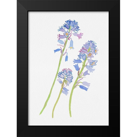 Spanish bluebell or Hyacinthoides hispanica botanical painting Black Modern Wood Framed Art Print by Kata Botanical
