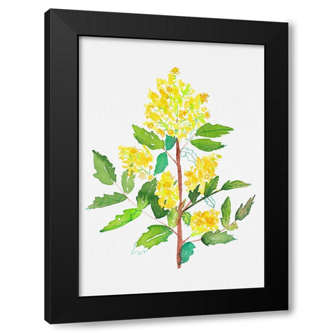 Oregon grape or Mahonia aquifolium botanical painting Black Modern Wood Framed Art Print by Kata Botanical