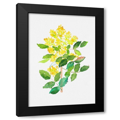 Oregon grape or Mahonia aquifolium botanical painting Black Modern Wood Framed Art Print with Double Matting by Kata Botanical