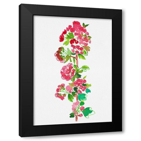 Crataegus laevigata Pauls Scarlet Black Modern Wood Framed Art Print by Kata Botanical