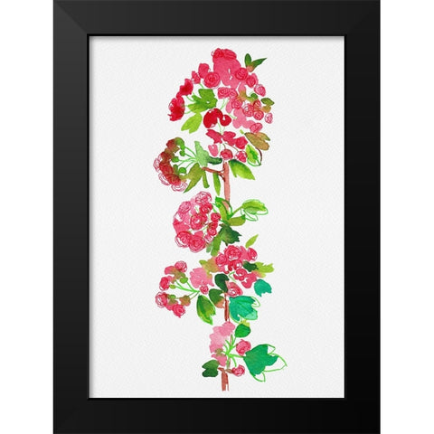 Crataegus laevigata Pauls Scarlet Black Modern Wood Framed Art Print by Kata Botanical