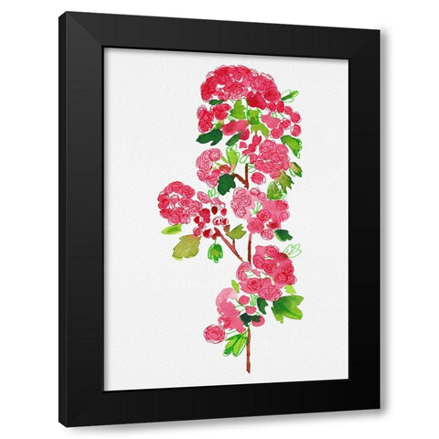 Crataegus laevigata Pauls Scarlet botanical painting Black Modern Wood Framed Art Print with Double Matting by Kata Botanical