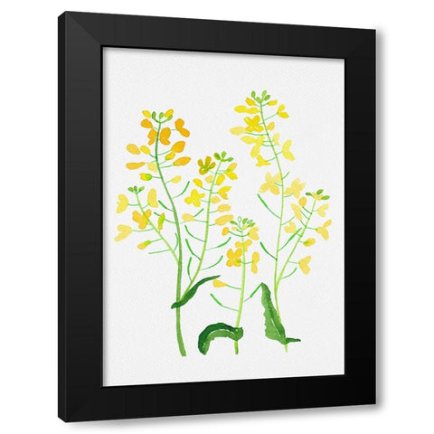 Rapeseed or Brassica napus botanical painting Black Modern Wood Framed Art Print by Kata Botanical