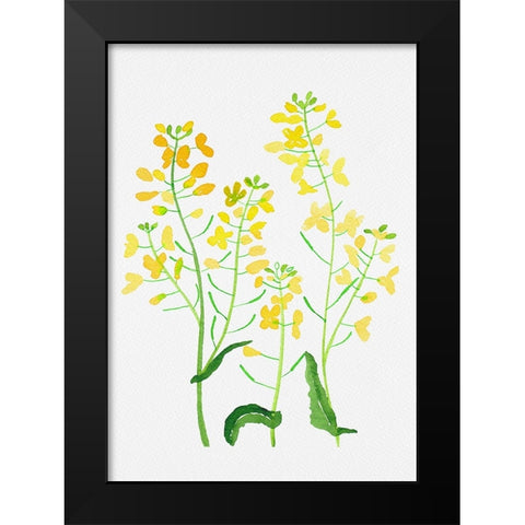 Rapeseed or Brassica napus botanical painting Black Modern Wood Framed Art Print by Kata Botanical