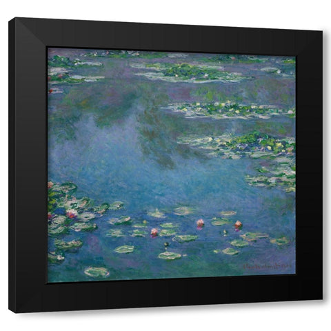 Water Lilies Black Modern Wood Framed Art Print with Double Matting by Pictufy