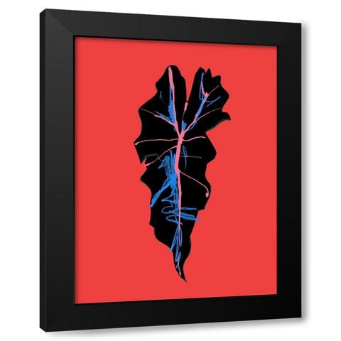 Alocasia Polly Red Black Modern Wood Framed Art Print with Double Matting by Gulina, Francesco