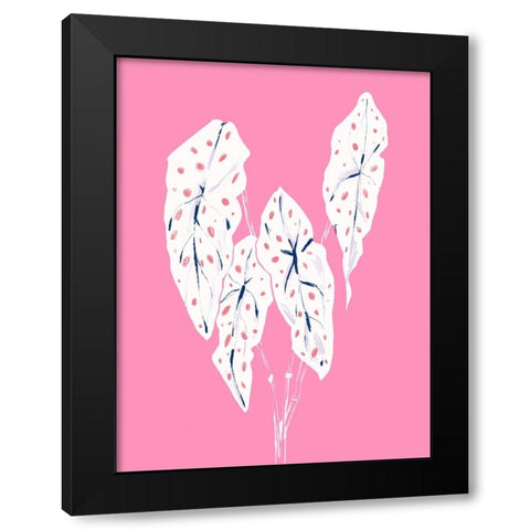 Begonia Maculata Pink Black Modern Wood Framed Art Print by Gulina, Francesco