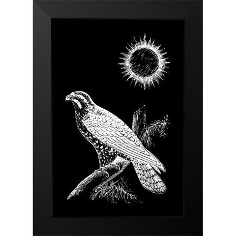 Falcon Peregrine Black Modern Wood Framed Art Print by Abdel Aal, Hussein