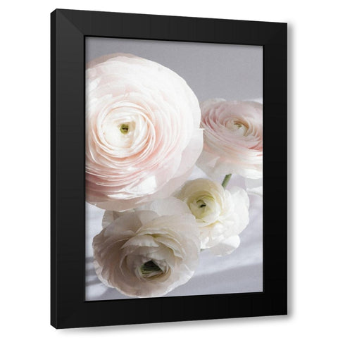 Soft Ranunculus Black Modern Wood Framed Art Print by uplusmestudio